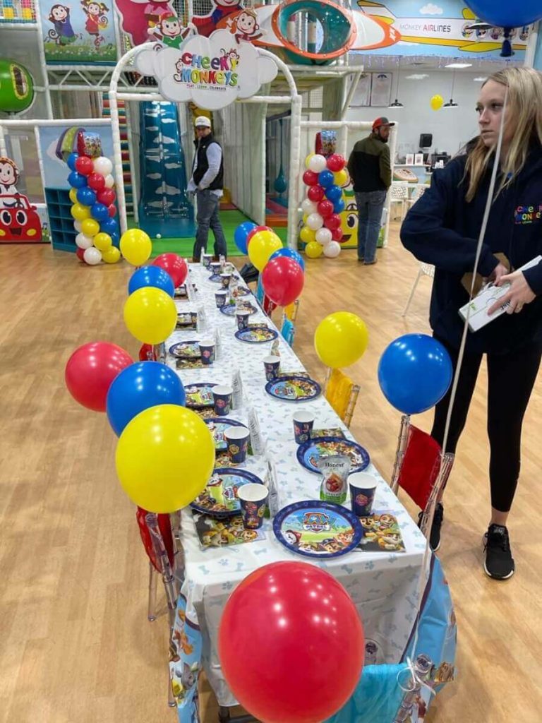 Birthday Party Supplies